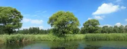 綠色產(chǎn)品認(rèn)證，人造板、衛(wèi)生陶瓷、家具、建材、快遞包裝等認(rèn)證